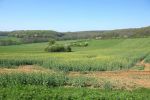 Bourguignon-lès-Morey