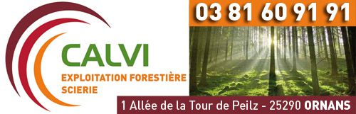 CALVI - Exploitation forestière - Scierie
