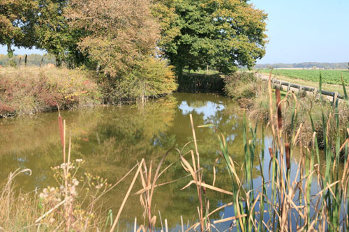 Lieffrans (70190) , Canton de Lieffrans, La HauteSaône, La route des